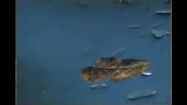 Claire de Lune - Debussy смотреть онлайн