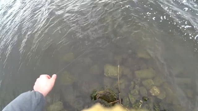 Ловля раков в феврале. Как ловить раков. Ловля раков зимой. Зимняя рыбалка.mp4 смотреть онлайн