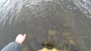 Ловля раков в феврале. Как ловить раков. Ловля раков зимой. Зимняя рыбалка.mp4