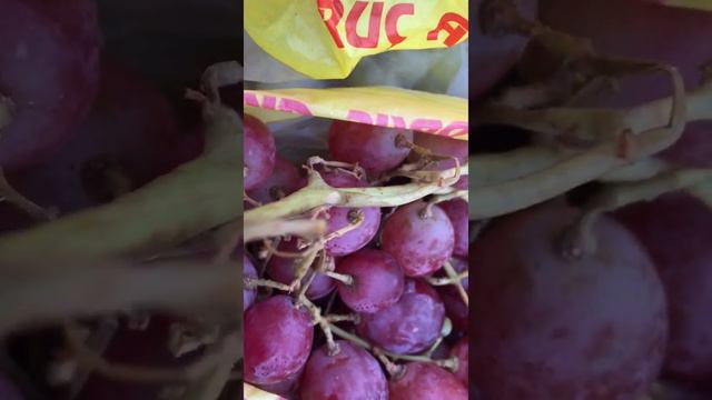 Зимний виноград-Рэд Глоб смотреть онлайн