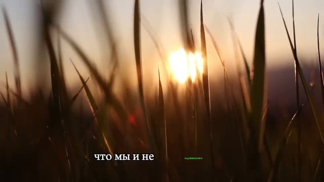 ЖИВИТЕ 20 ЛЕТ ДОЛЬШЕ! СДЕЛАЙТЕ ТАК ПОКА НЕ ПОЗДНО! Удивительные Советы для Здоровья! #здоровье