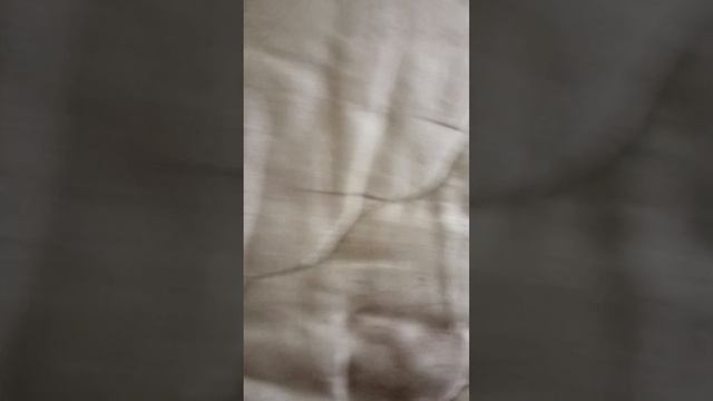 VID_20230310_114151.mp4 смотреть онлайн