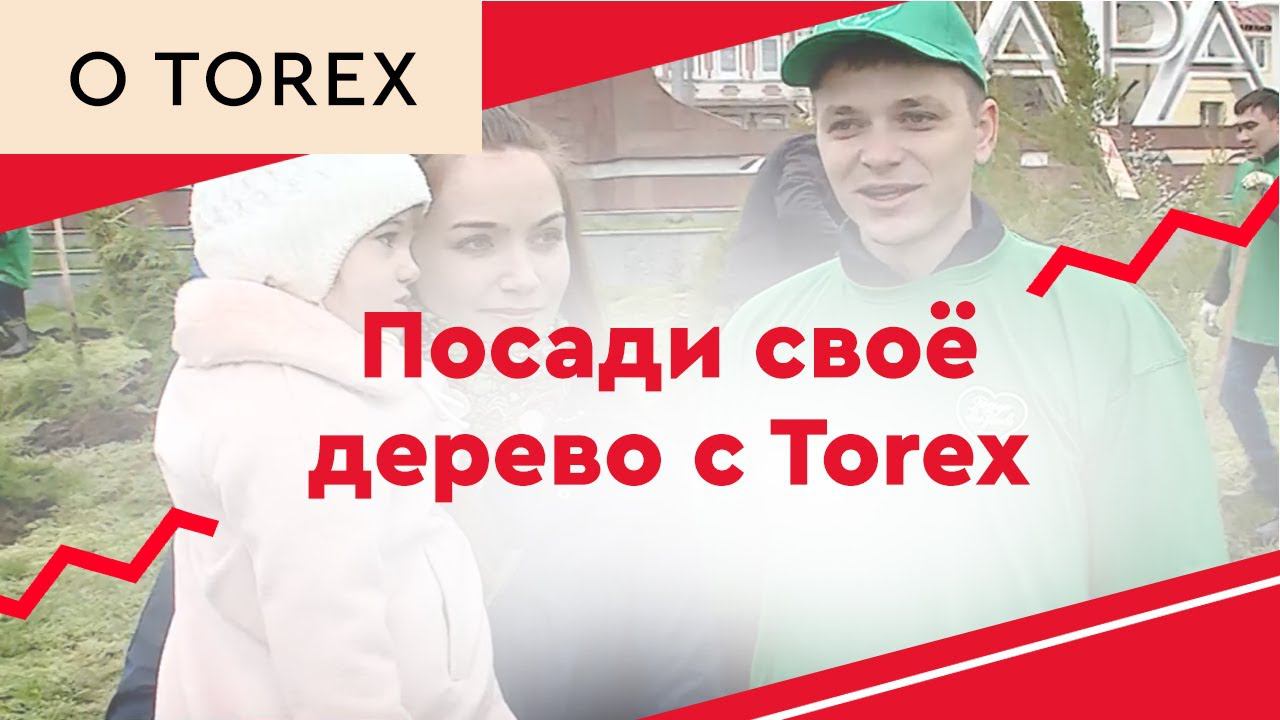 Посади своё дерево с Torex смотреть онлайн