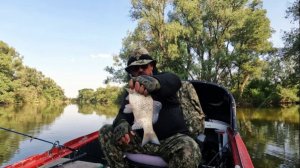 Рыбалка на Оби ( Сузун ) 5 июня 2023г. А в протоке рыбы-то полно !!!