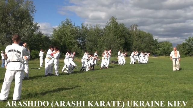 Аттестация по Арашидо (Араши Карате) 30 июня 2020г.г. Киев (на 10-1 Кю) смотреть онлайн