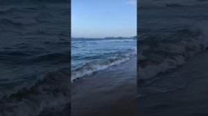 Вьетнам. НЯЧАНГ. БИГ ЛОБСТЕР цены КОПЕЙКИ Нячанг майлав