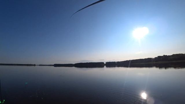 Плотва сходила с ума от этой добавки!