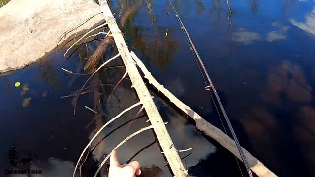 Речка по колено, а бойких щук и окуней много Спиннинг смотреть онлайн