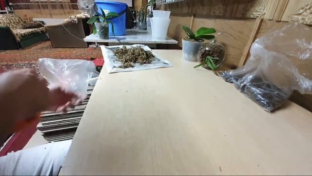 Воскресная Пересадка смотреть онлайн