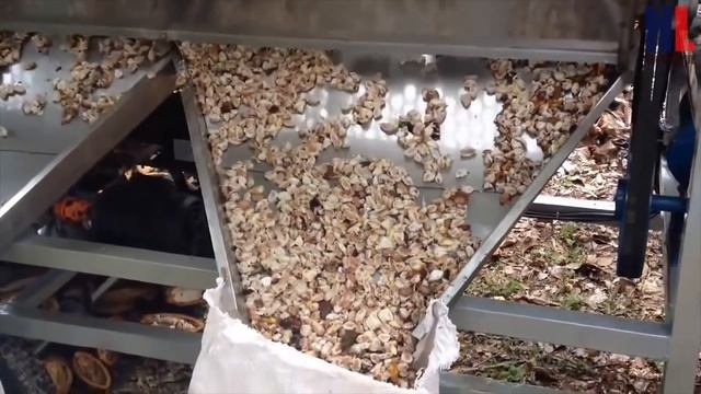 Modern Food Processing Technology with Cool Automatic Machines That Are At Another Level Part 22 смотреть онлайн
