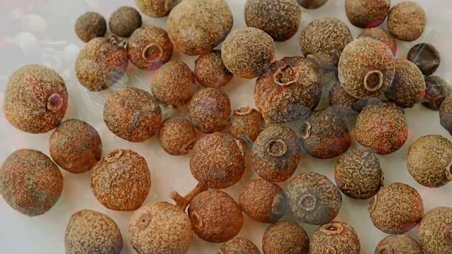 Топ 10 Самых_Острых_Перцев | Top 10 Spicy_Peppers смотреть онлайн