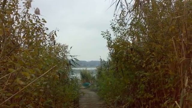 Река, лодочки, камыши, магия природы(стихи в субтитрах), Андрушовка, река Гуйва. смотреть онлайн