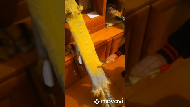 Выделка шкурки лисы 4 выделкалисы.