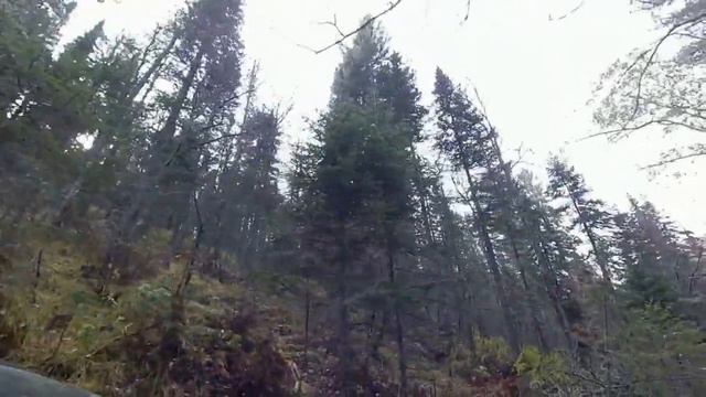 Первый таймень.В гостях у хозяина реки. смотреть онлайн