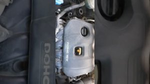 Работа двигателя на холодную G4NA (подозрение на стук гидрокомпенсаторов)