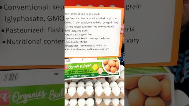 How to make your pet food 100 times better for less than $.10 a day! смотреть онлайн