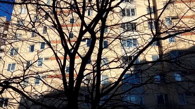 VID 20220318 172813 Андрей Рублёв 1913 (Н. Гумилёв)...Павел Васильев Лахтинский смотреть онлайн