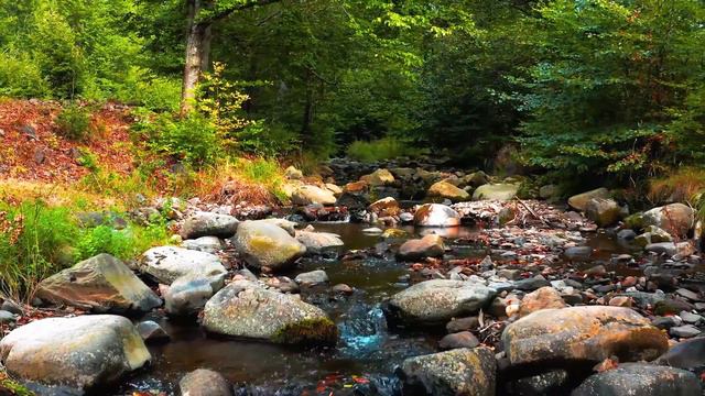 Beautiful music for the soul / Dmitry Metlitsky - Star rain смотреть онлайн