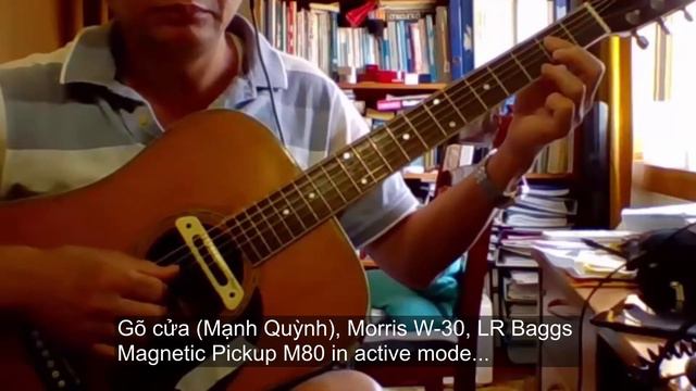 Gõ cửa (Mạnh Quỳnh), Morris W-30 & LR Baggs Magnetic Pickup M80 - Vlog #396 смотреть онлайн