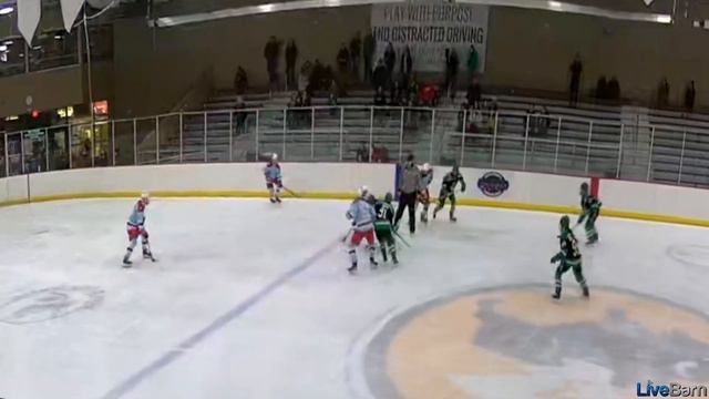 LiveBarn Goal PIP Motor City 2024 Blue #12 смотреть онлайн