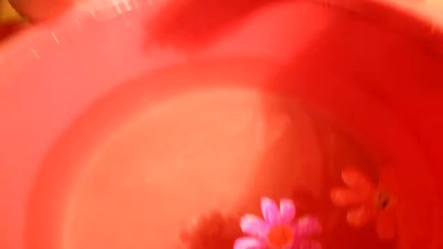 Поздравление с 8 Марта | Мисс Кейти С праздником!!! смотреть онлайн