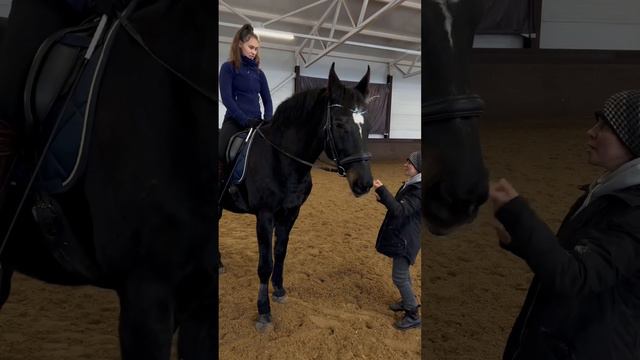 #конныйспорт #лошади #интересное смотреть онлайн