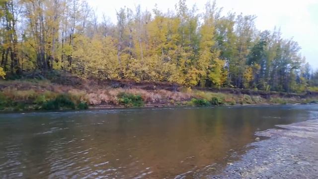 р. Сакмара Оренбургская область смотреть онлайн