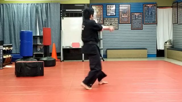 Long form 5 - Ed Parker Kenpo Karate (Randy Perez) смотреть онлайн