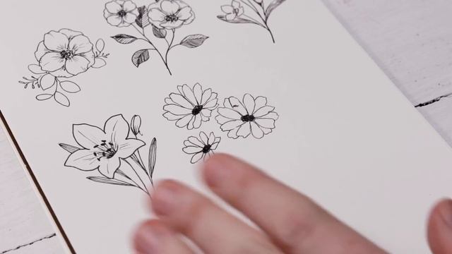 How To Draw Flowers | Florals Step By Step смотреть онлайн