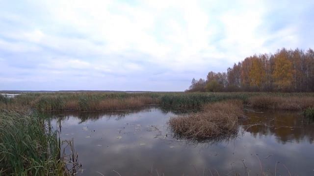 Ловля на Daiwa Bait Junkie смотреть онлайн