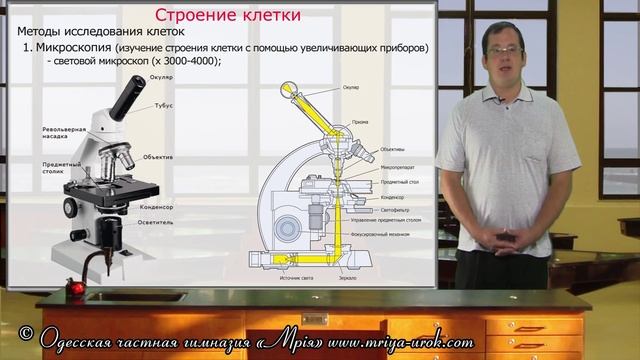 Cтроение клетки (урок 1) смотреть онлайн