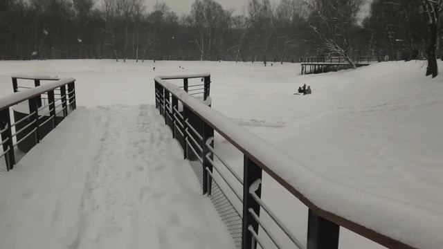 Обход лесопарка Кусково, 17-18 декабря 2022 г. смотреть онлайн