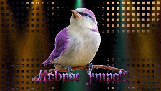 С добрым утром,друзья!     исп.Виктор Калина