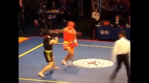 Что такое ушу?