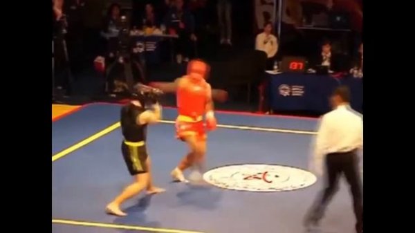 Что такое ушу?