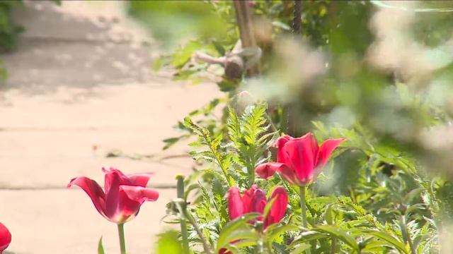 Дизайн и Стройка