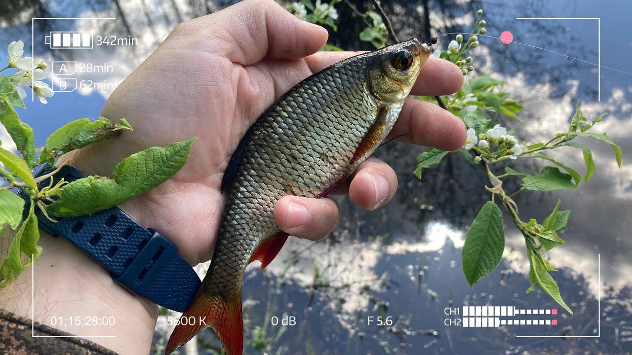 Мормышинг на заливных лугах смотреть онлайн