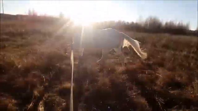 Проза осенью 2018! смотреть онлайн
