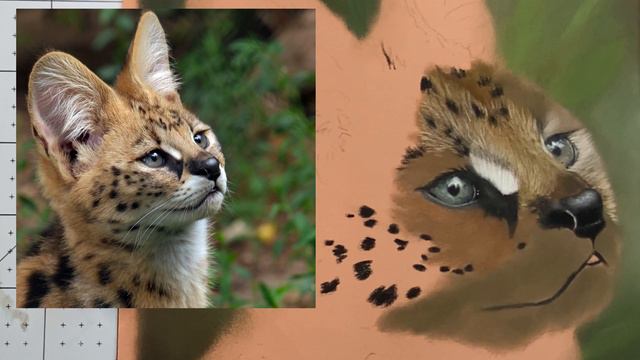 Painting a Serval Kitten(Part Two) in Pan Pastels and Pastel Pencils смотреть онлайн