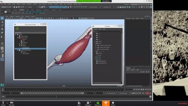 Ziva Dynamics 1 4v introduction to facial setup