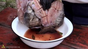 Копченый толстолобик, домашнее полугорячее копчение (60-80 градусов)