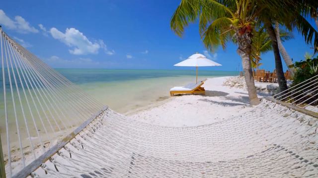 Bahamas Cost of Living Retires Digital Nomads смотреть онлайн