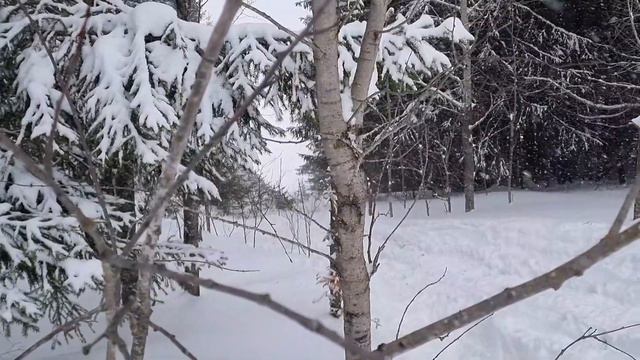 Сломали всё что можно! Каста утилей! ! Это что то невероятное у них есть всё и даже ведро борща! смотреть онлайн