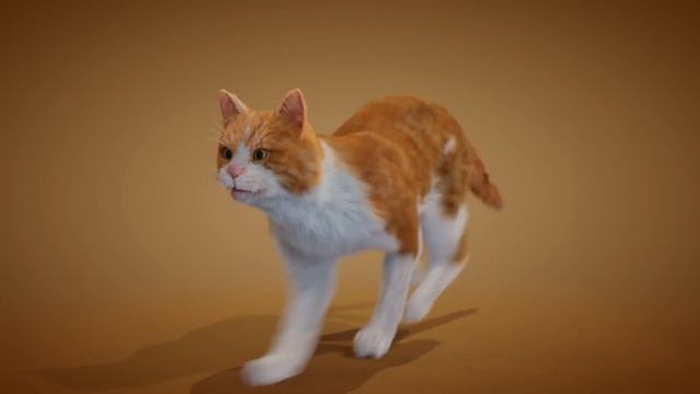 Cat walk & run animation | Blender | Cycles смотреть онлайн