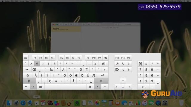How to Type Euro Symbol on Mac® - GuruAid смотреть онлайн