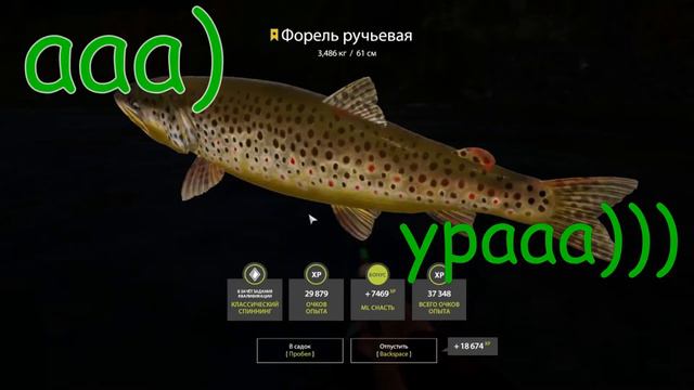 {Русская рыбалка 4 } Трофейная форель! смотреть онлайн