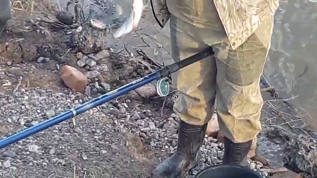 Половодье и рыбалка в Ишиме в 2020 году. смотреть онлайн