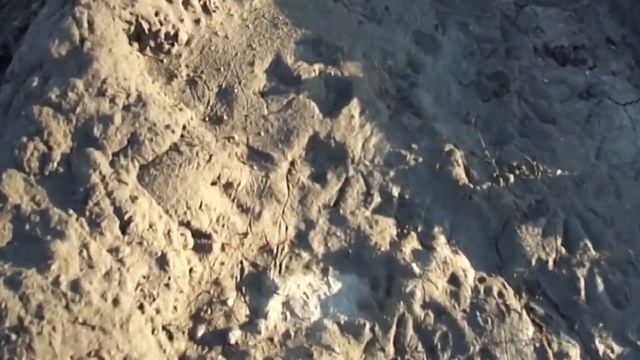 Red Worms Денробена отогревается замёрзшая -2*С 15.04.10. 1 смотреть онлайн