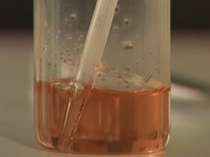 Химия. Опыты. Неорганика. Получение угольной кислоты