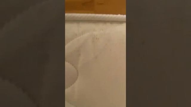 Баня и зона отдыха на улице смотреть онлайн